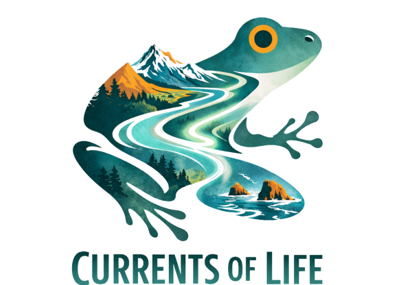 Imagen de cabecera de Currents Of Life