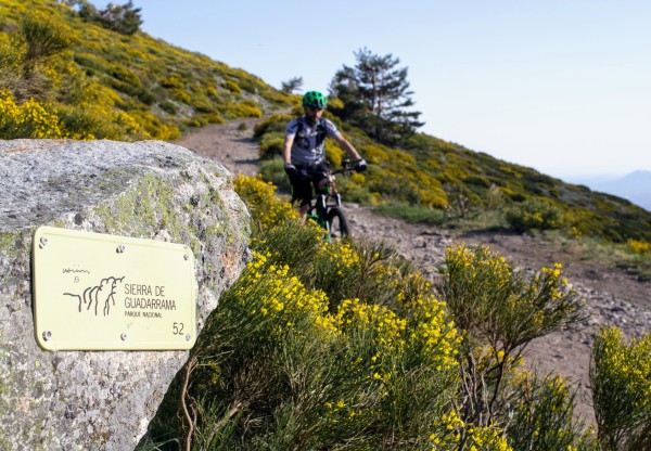 Imagen de cabecera de ¿Quieres seguir montando en bici por el P.N. de la Sierra de Guadarrama?