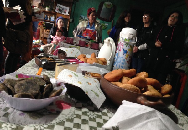 Imagen de cabecera de Ruta de la Nalca: Turismo Culinario Comunitario Mapuche en Nahuelbuta