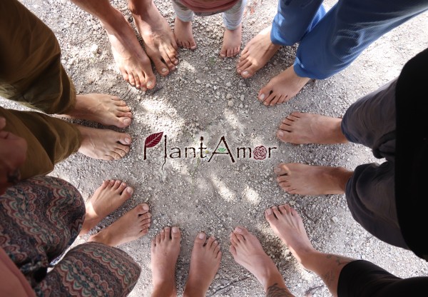 Imagen de cabecera de Support the Plantamor community land purchase!