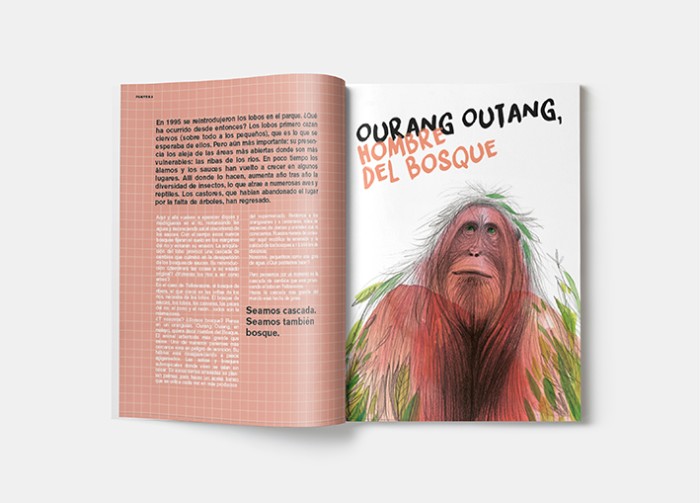 orangutan-para-goteo.jpg