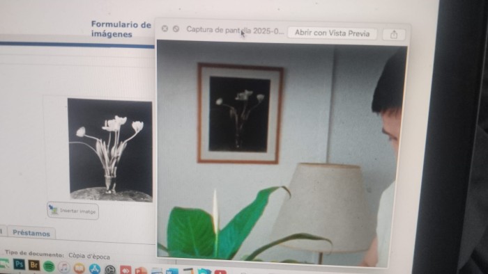 whatsapp-image-2025-08-05-at-12.03.54.jpeg