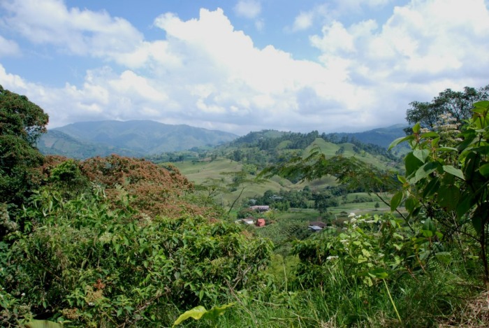 minkalab-07.jpg