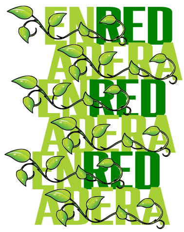 Imagen de cabecera