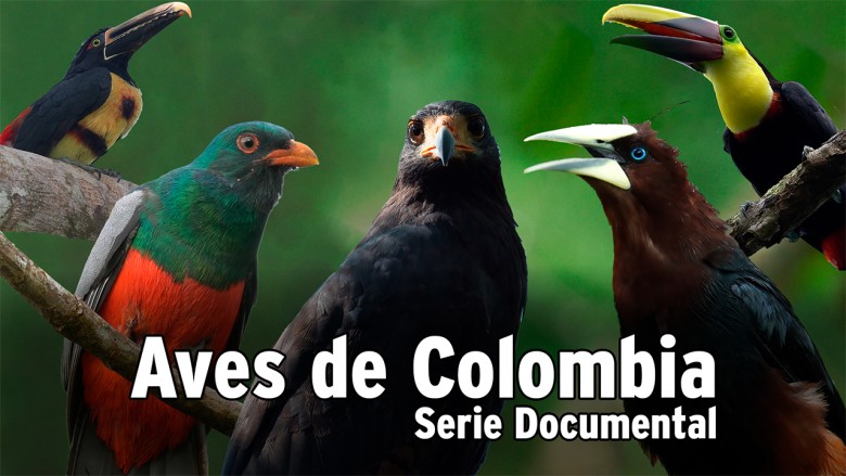 Imagen de cabecera